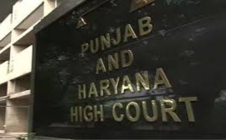 हरियाणा सीईटी नॉर्मलाइजेशन फार्मूले पर हाईकोर्ट की मुहर,  क्‍या अब रिजल्ट में देरी की संभावना, जानें