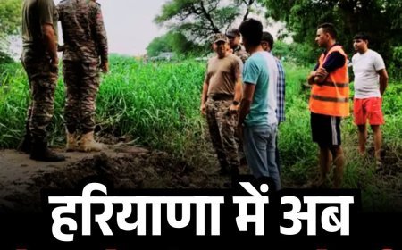 हरियाणा में आपदा से निपटने के लिए सेना की एंट्री, बहादुरगढ़ में 80 जवान तैनात