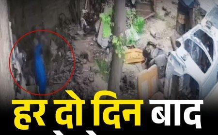 महिलाओं का चोर गिरोह बेनकाब: हर दो दिन बाद करते थे वारदात