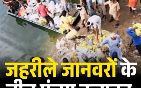 जहरीले जानवरों के बीच फंसा इलाका : ड्रेन फटने से 500 एकड़ क्षेत्र डूबा