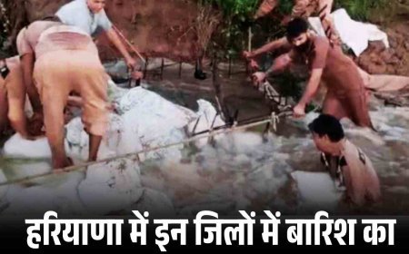 हरियाणा में इन जिलों में बारिश का अलर्ट, कई इलाकों में जलभराव