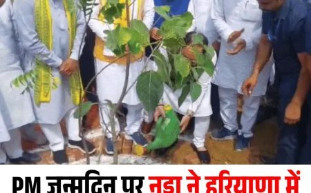 PM जन्मदिन पर नड्डा ने हरियाणा में लगाया पौधा, CM सैनी ने झाड़ू लगाई