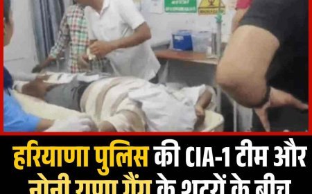 हरियाणा पुलिस की CIA-1 टीम और नोनी राणा गैंग के शूटरों के बीच मुठभेड़, एक गुर्गे को लगी गोली