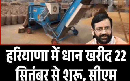 हरियाणा में धान खरीद 22 सितंबर से शुरू, सीएम नायब सैनी का ऐलान