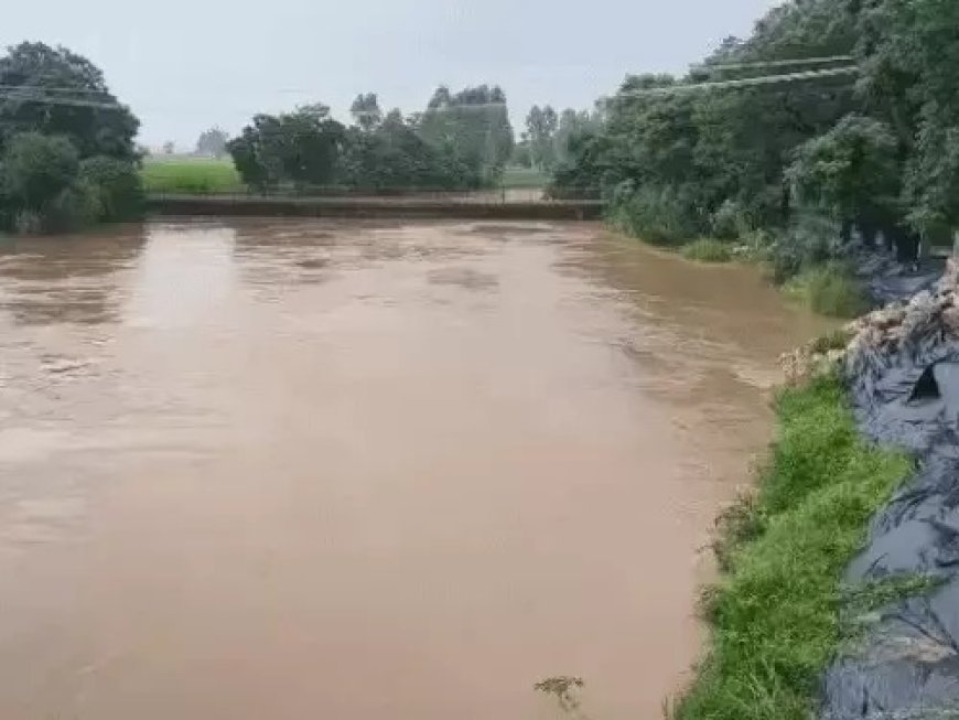 फतेहाबाद में बारिश से बिगड़े हालात: घग्गर नदी का जलस्तर 14200 क्यूसेक, तटबंध मजबूत करने में जुटे ग्रामीण