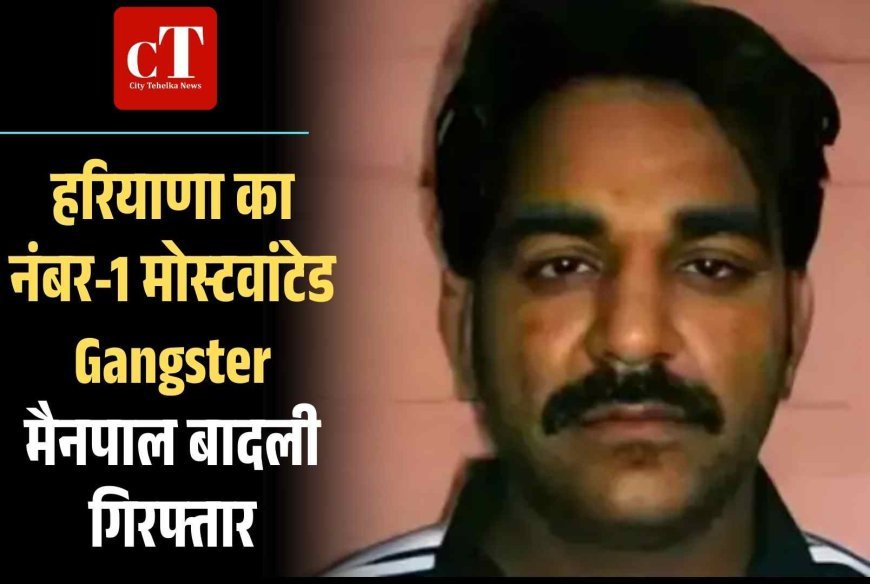 हरियाणा का नंबर-1 मोस्टवांटेड Gangster मैनपाल बादली गिरफ्तार
