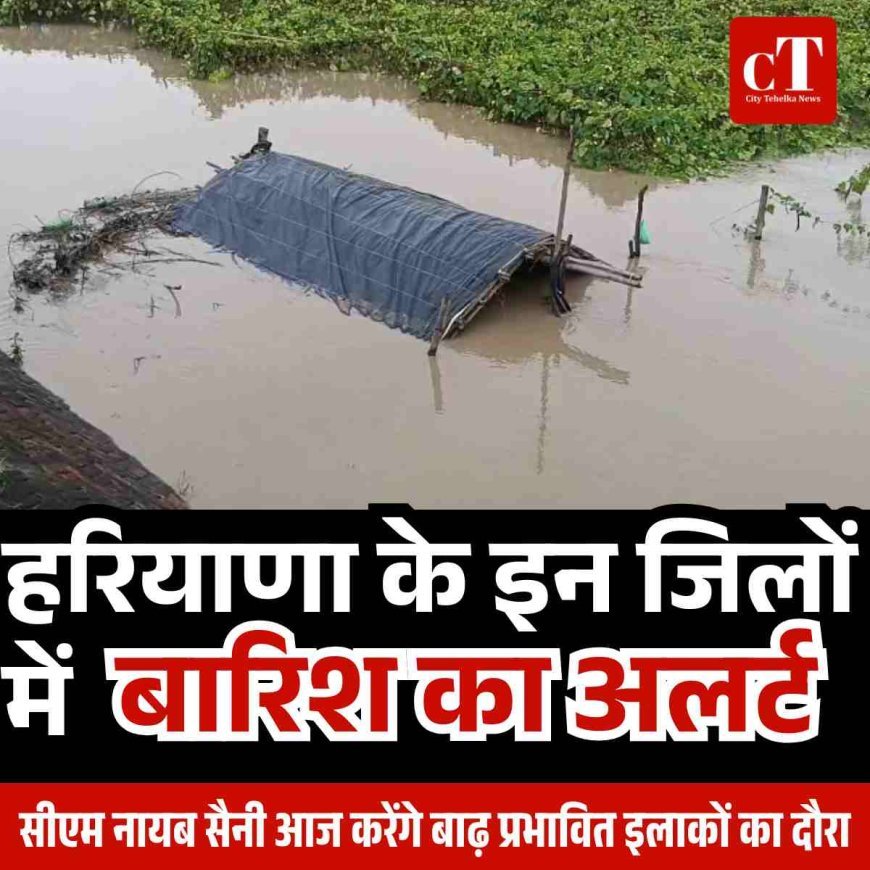 हरियाणा में 20 जिलों में बारिश का अलर्ट, कई नदियां खतरे के निशान से ऊपर