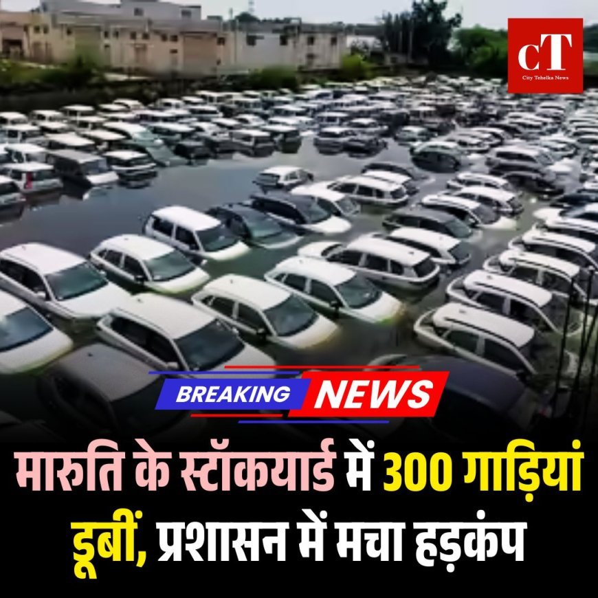 मारुति के स्टॉकयार्ड में 300 गाड़ियां डूबीं, प्रशासन में मचा हड़कंप