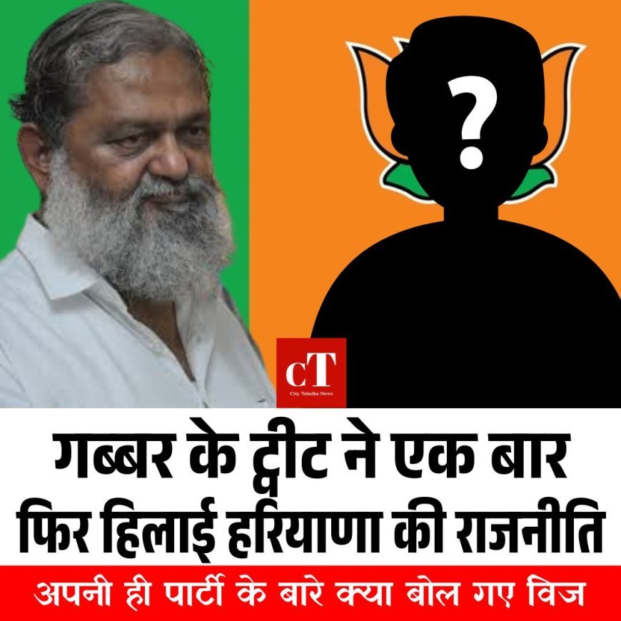 गब्बर के ट्वीट ने एक बार फिर हिलाई हरियाणा की राजनीति, अपनी ही पार्टी के बारे क्या बोल गए विज