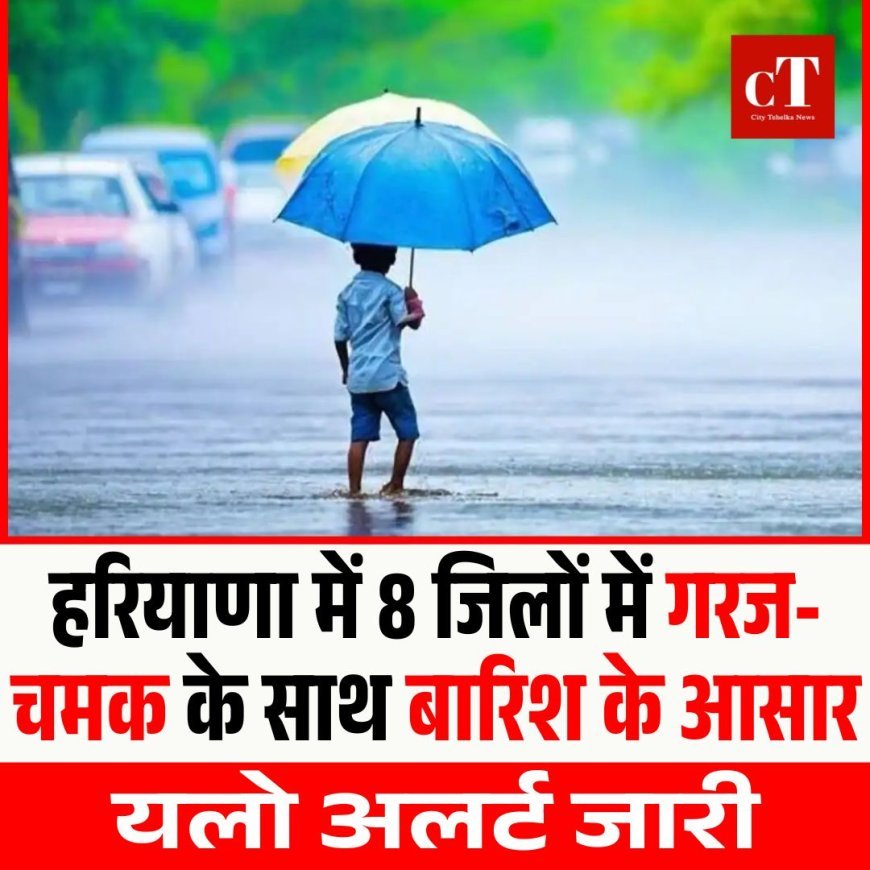 हरियाणा में 8 जिलों में गरज-चमक के साथ बारिश के आसार, यलो अलर्ट जारी