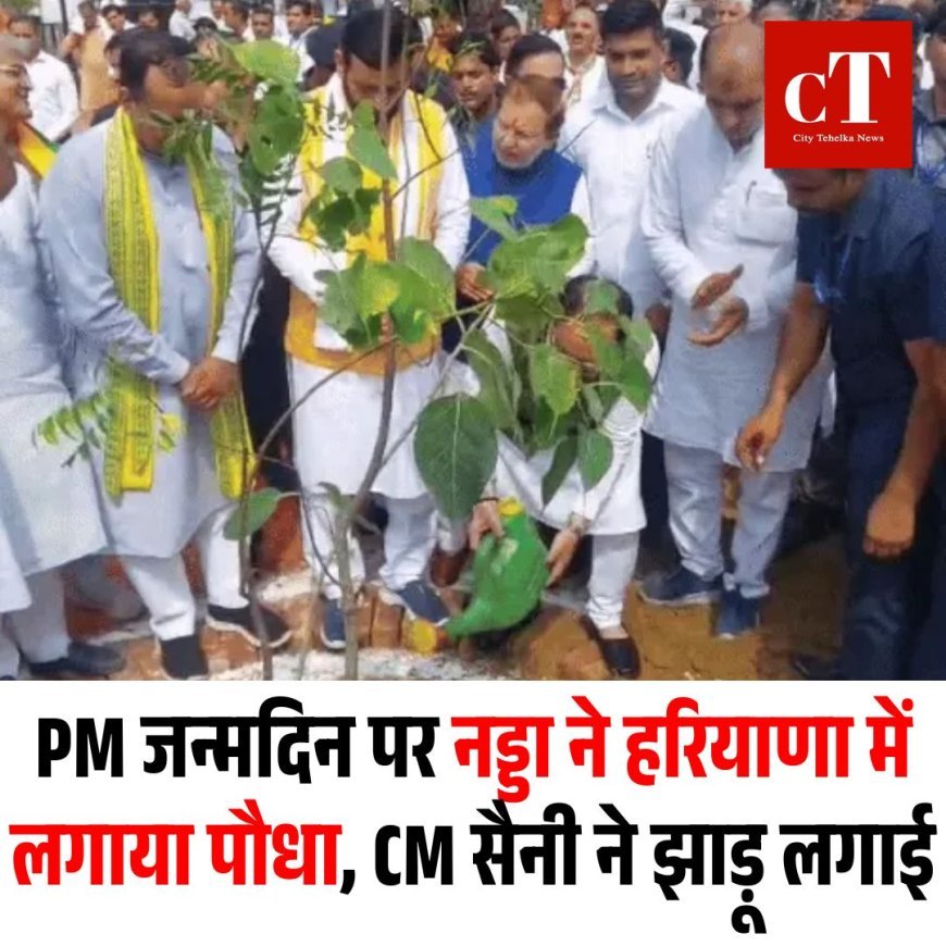 PM जन्मदिन पर नड्डा ने हरियाणा में लगाया पौधा, CM सैनी ने झाड़ू लगाई