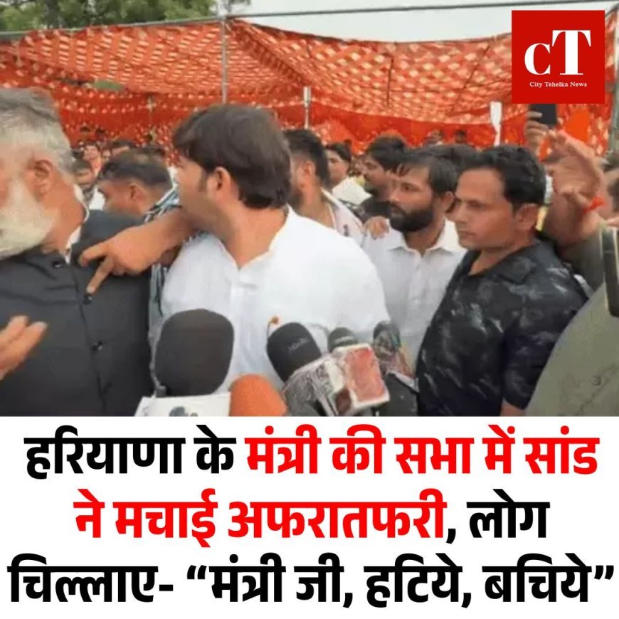 हरियाणा के मंत्री की सभा में सांड ने मचाई अफरातफरी, लोग चिल्लाए- “मंत्री जी, हटिये, बचिये”