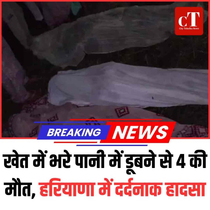 खेत में भरे पानी में डूबने से 4 की मौत, हरियाणा में दर्दनाक हादसा