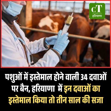 पशुओं में इस्तेमाल होने वाली 34 दवाओं पर बैन, इन दवाओं का इस्तेमाल किया तो  तीन साल की  सजा