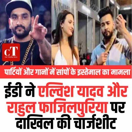 पार्टियों और गानों में सांपों के इस्तेमाल का मामला: ईडी ने एल्विश यादव और राहुल फाजिलपुरिया पर दाखिल की चार्जशीट