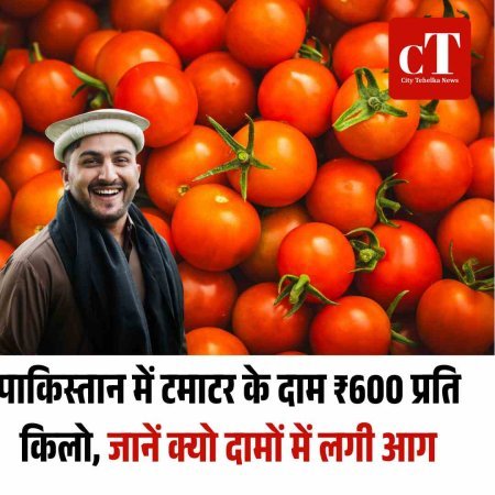 पाकिस्तान में टमाटर ₹600 किलो, रसोई से गायब हुई सबसे जरूरी सब्जी
