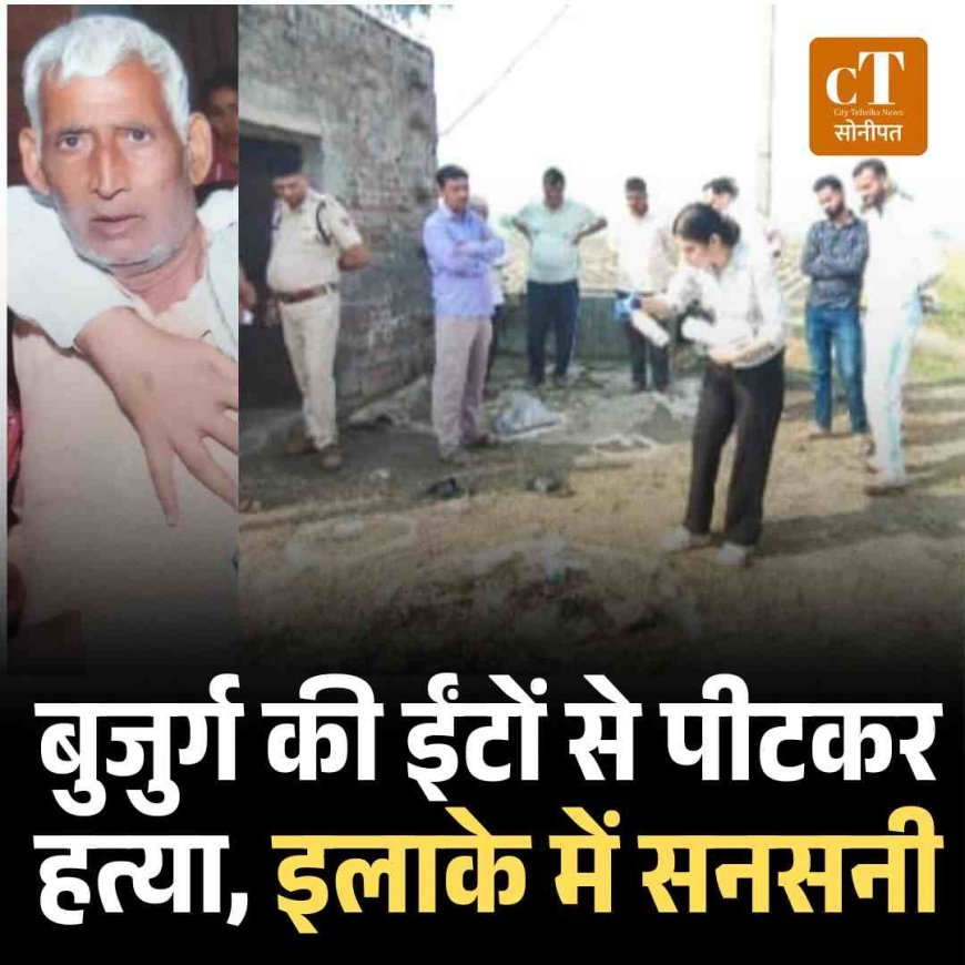 बुजुर्ग की ईंटों से पीटकर हत्या, इलाके में सनसनी