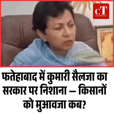 फतेहाबाद में कुमारी सैलजा का सरकार पर निशाना — किसानों को मुआवजा कब?