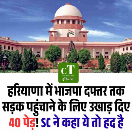 हरियाणा में भाजपा दफ्तर तक सड़क पहुंचाने के लिए उखाड़ दिए 40 पेड़! SC ने कहा ये तो हद है