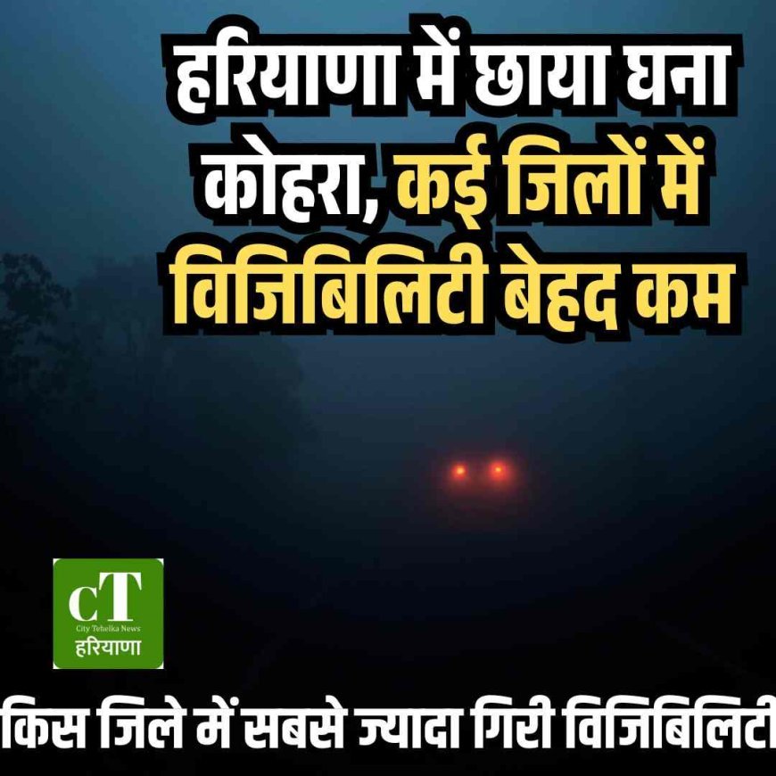 हरियाणा में छाया घना कोहरा, कई जिलों में विजिबिलिटी बेहद कम