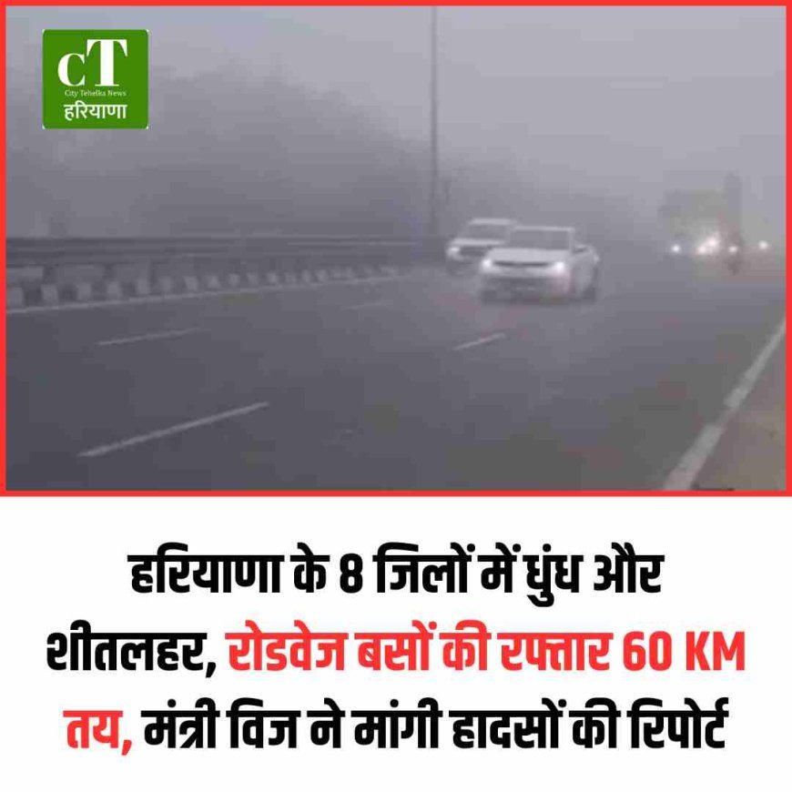 हरियाणा के 8 जिलों में धुंध और शीतलहर, रोडवेज बसों की रफ्तार 60 KM तय, मंत्री विज ने मांगी हादसों की रिपोर्ट