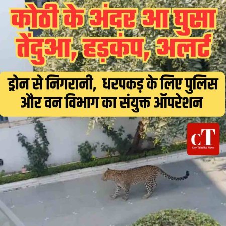 कोठी के अंदर घुसा तेंदुआ ,  मचा हड़कंप, वन विभाग ने जारी किया अलर्ट,  ड्रोन से निगरानी,  धरपकड़ के लिए पुलिस और वन विभाग का संयुक्त ऑपरेशन