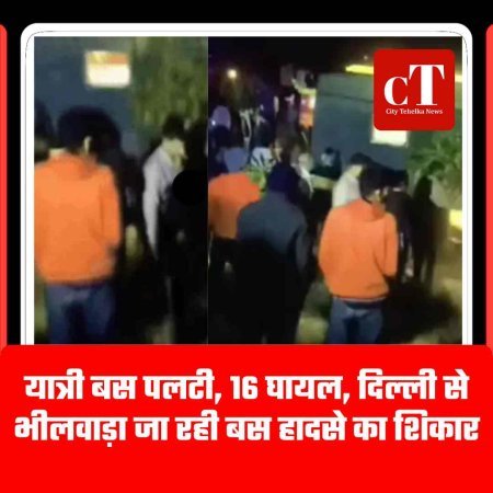 यात्री बस पलटी, 16 घायल, दिल्ली से भीलवाड़ा जा रही बस हादसे का शिकार