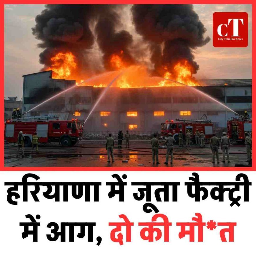 हरियाणा में जूता फैक्ट्री में आग, दो की मौ*त