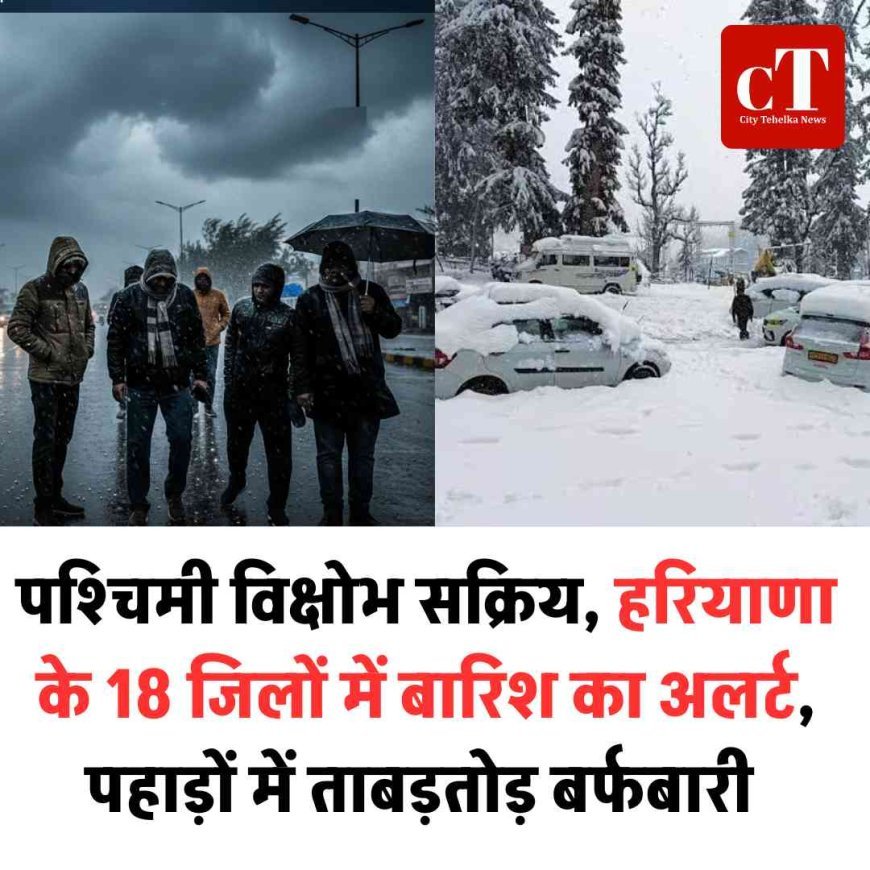पश्चिमी विक्षोभ सक्रिय, हरियाणा के 18 जिलों में बारिश का अलर्ट, पहाड़ों में ताबड़तोड़ बर्फबारी
