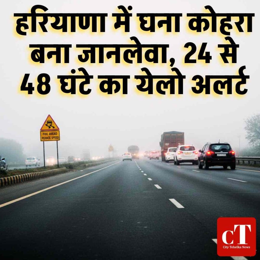 हरियाणा में घना कोहरा बना जानलेवा, 24l से 48 घंटे का येलो अलर्ट