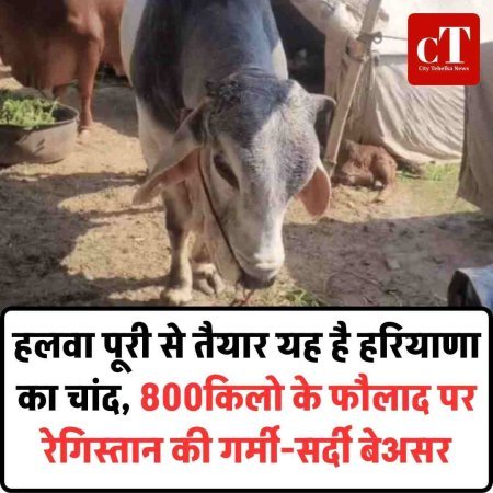 हलवा पूरी से तैयार यह है हरियाणा का चांद, 800किलो के फौलाद पर  रेगिस्तान की गर्मी-सर्दी बेअसर