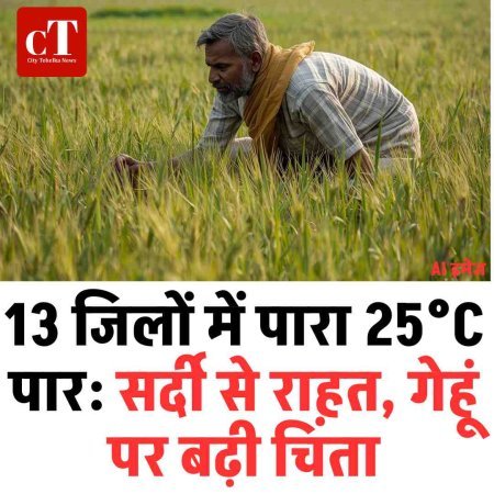 13 जिलों में पारा 25°C पार: सर्दी से राहत, गेहूं पर बढ़ी चिंता